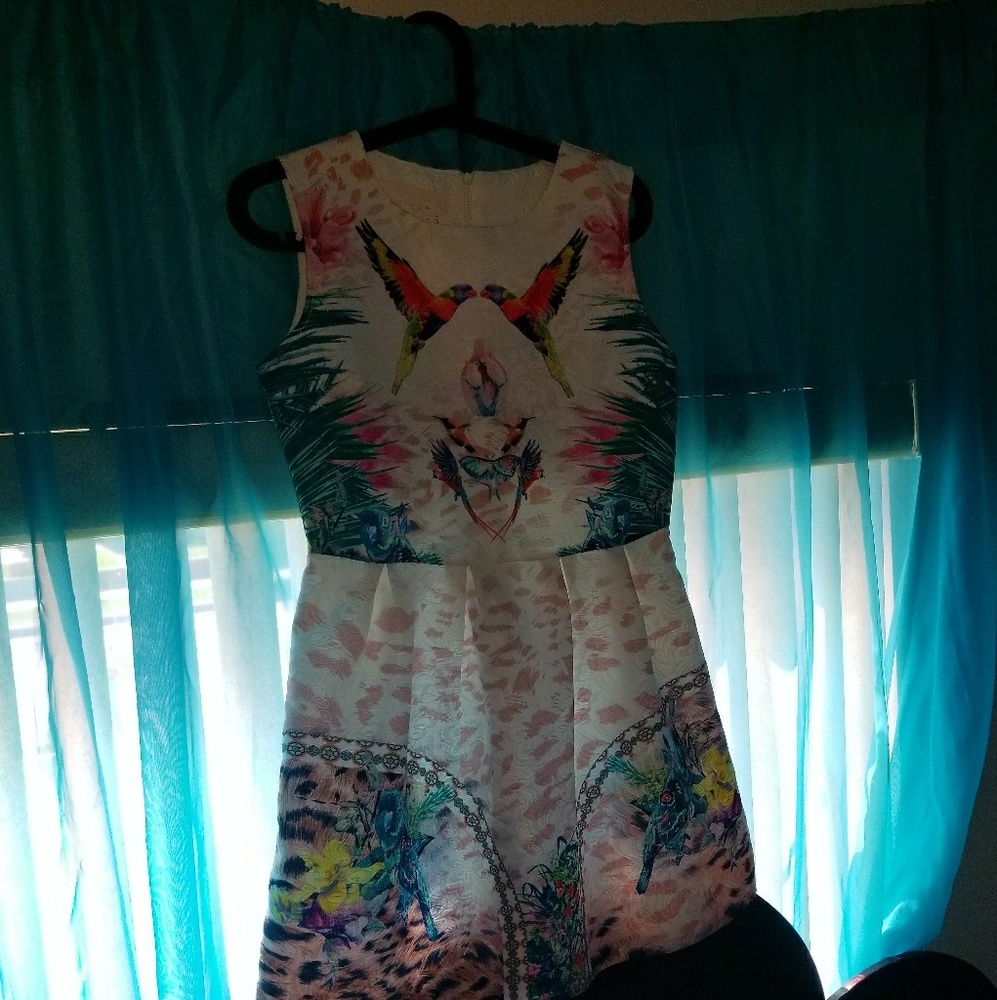 Parrot "Love Birds" Fit and Flare dress